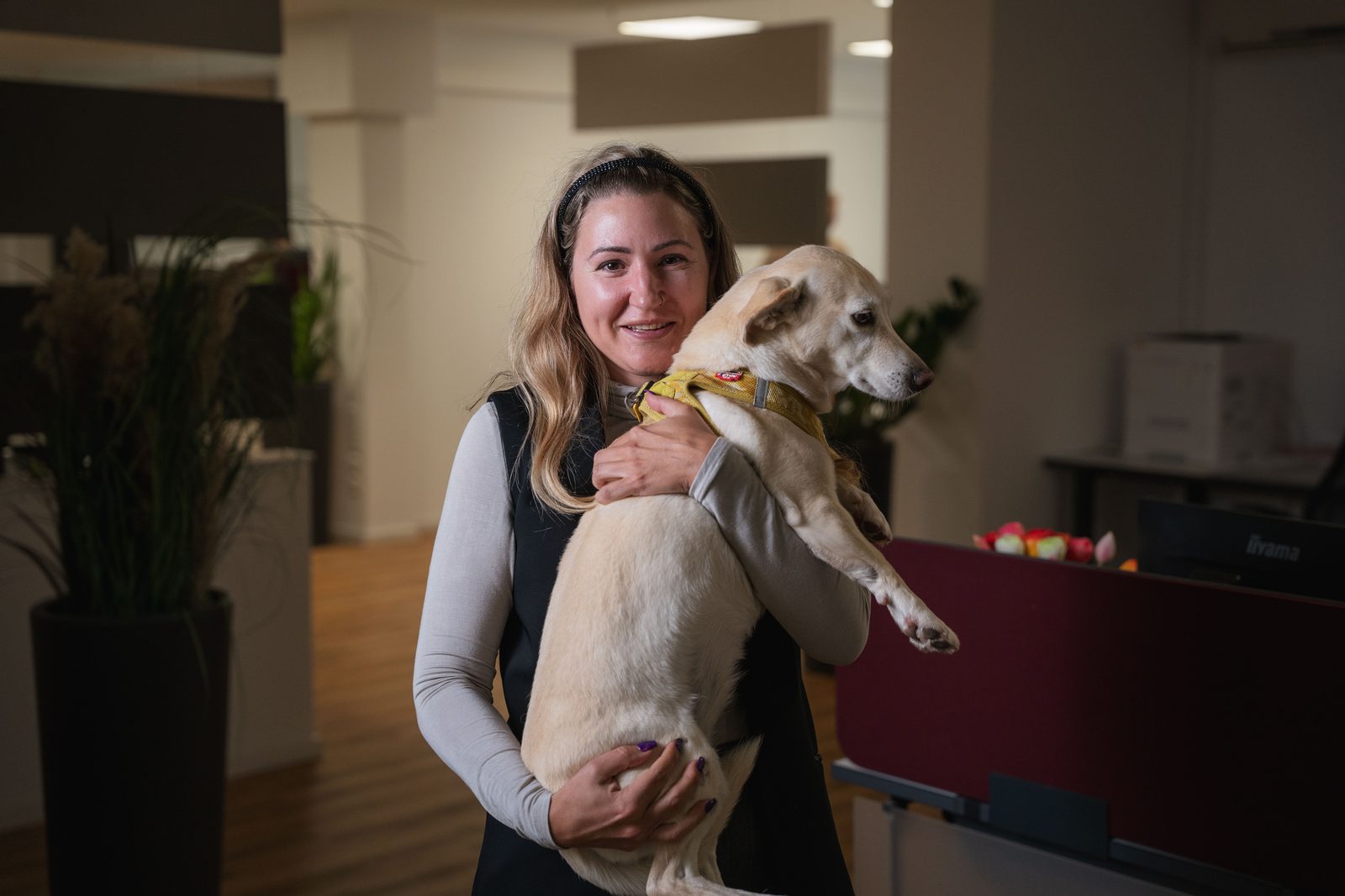 Mitarbeiterin der B3 Steuerberatungsgesellschaft mit Bürohund